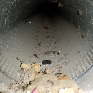 Photo of Sols Cleaning Services