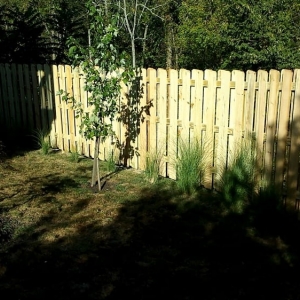 Photo of Shortley Fencing