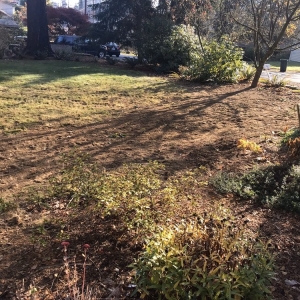 Photo of In-Depth Excavation