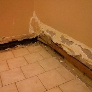 Photo of Hole in the Wall Repair Services