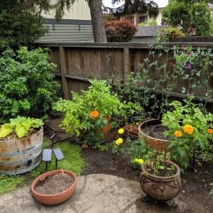 Photo of City Garden Studio