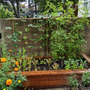 Photo of City Garden Studio