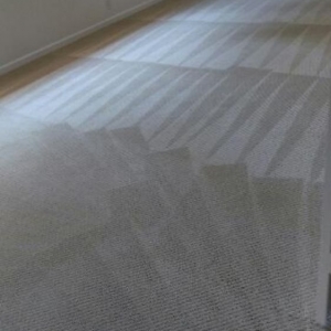 Photo of Long Life Carpet Cleaning