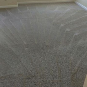 Photo of Long Life Carpet Cleaning