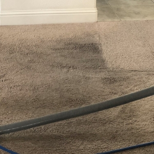 Photo of Scooters Carpet Cleaning