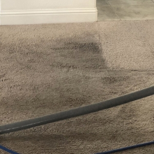 Photo of Scooters Carpet Cleaning