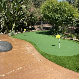 Photo of Sensational Greens