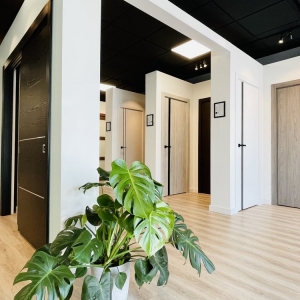 Paramus AllModernDoors