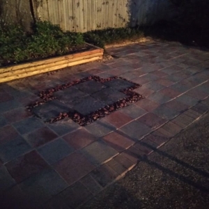 Photo of Vanlandingham Lawn Care & Services