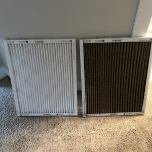 Indianapolis Handy Mane Contractors