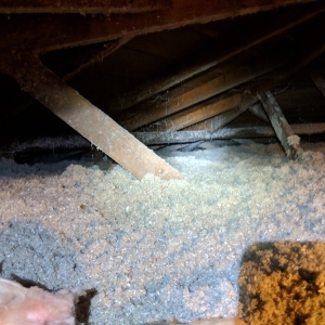 Photo of Attic Experts