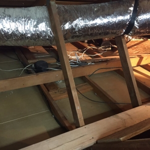 Photo of Attic Experts