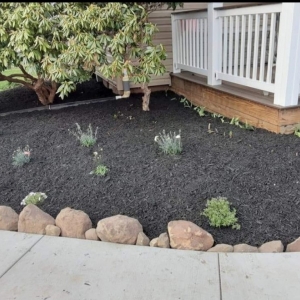 Photo of Faodail landscaping