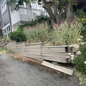 Photo of CPG Landscaping
