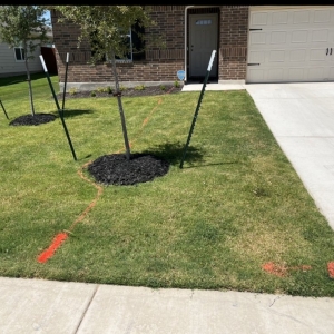 Photo of Texas Landscape Creations