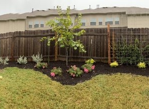 Photo of Texas Landscape Creations