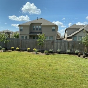 Photo of Texas Landscape Creations