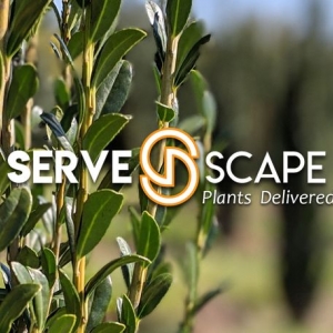 Photo of ServeScape