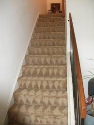 Photo of A Plus Carpet Cleaning