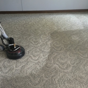 Photo of True Clean Carpet