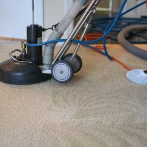 Photo of True Clean Carpet
