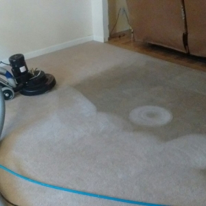 Photo of True Clean Carpet