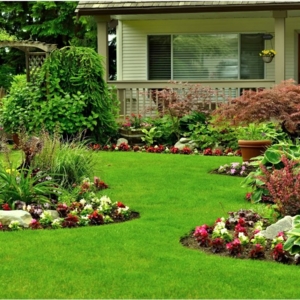 Photo of El Paso Greenscape