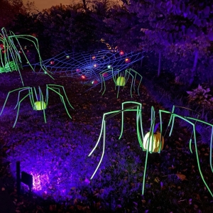 Photo of Franklin Park Conservatory & Botanical Gardens