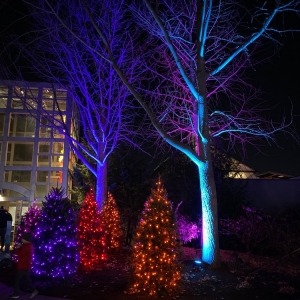 Photo of Franklin Park Conservatory & Botanical Gardens