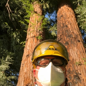Photo of Tree and Horticultural Management Services