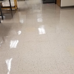 Photo of Mendoza's Janitorial