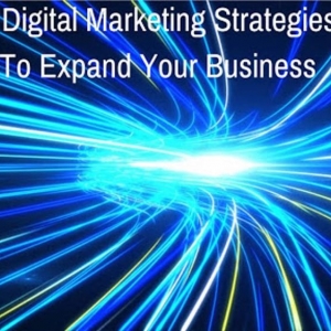 Photo of White Cat Marketing