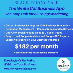 Photo of White Cat Marketing