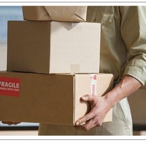 Photo of Disalvo's Courier Delivery Service