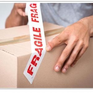 Photo of Disalvo's Courier Delivery Service