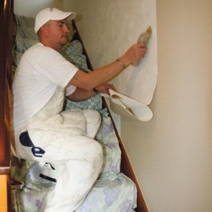 Photo of Aufiero Wallpaper And Painting