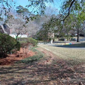 Photo of Scott's Lawn Care Service