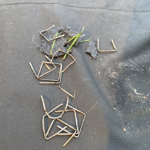 Photo of Armstrong Roofing