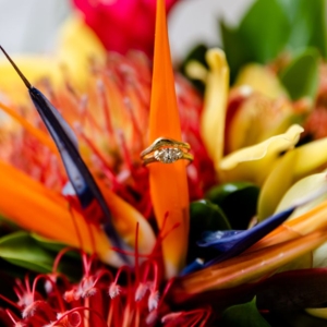 Photo of Tessfresh and Tessilk Flowers