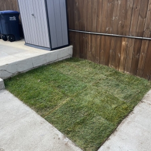 Arlington Skylar Landscape