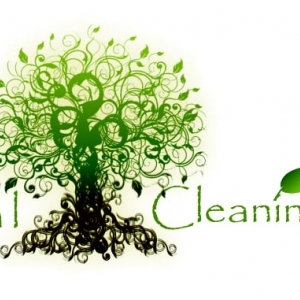 Photo of A Natural Cleaning Company, LLC