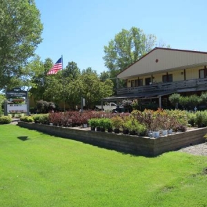 Photo of TNT Landscaping & Nursery