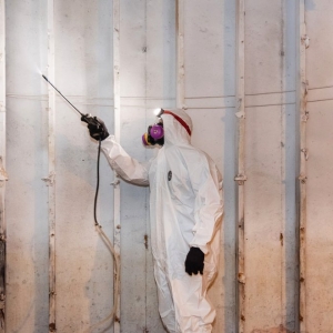 Photo of The Mold Removers