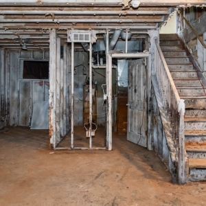 Photo of The Mold Removers