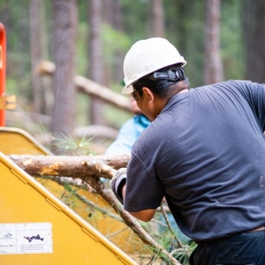 Photo of Good Morrow Land Services