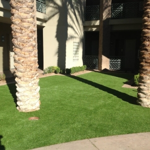 Photo of Pro Turf Artificial Grass