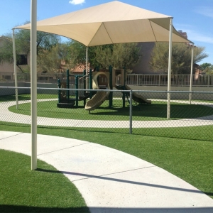 Photo of Pro Turf Artificial Grass
