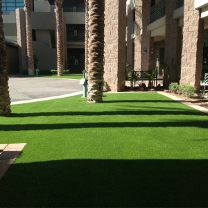 Photo of Pro Turf Artificial Grass