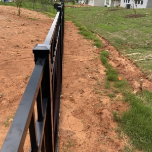 Charlotte P Saylor Fence
