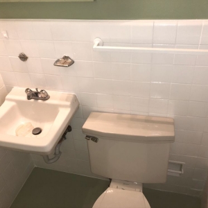 Arlington Immaculate Refinishing